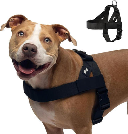 PawfectFit™