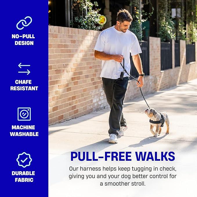 PawfectFit™