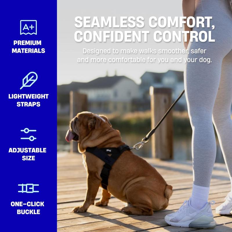 PawfectFit™